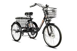 Электровелосипед РВЗ Чемпион 24" 250 Вт 10 Aч трехколесный